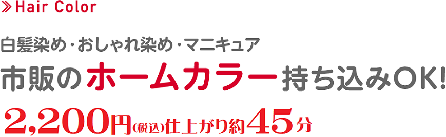 ＜Hair Color＞白髪染め・おしゃれ染め・マニキュア市販のホームカラー持ち込みOK！2,200円（税込）仕上がり約45分